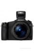 Sony DSC-RX10 Point & Shoot Camera(Black)