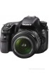 Sony Alpha SLT-A58Y with DT 18 - 55 mm F3.5 - 5.6 SAM II and DT 55 - 200 mm F4 - 5.6 SAM DSLR Camera(Black)